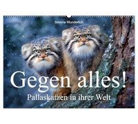 Gegen alles! - Pallaskatzen in ihrer Welt (Wandkalender 2027 DIN A2 quer), CALVENDO Monatskalender: Ein Kalender über dir flauschigsten und wildesten Katzen der Steppe