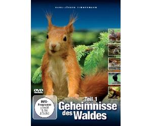Geheimnisse des Waldes Teil 1 [Alemania] [DVD]