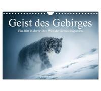 Geist des Gebirges - Ein Jahr in der wilden Welt der Schneeleoparden (Wandkalender 2026 DIN A4 quer), CALVENDO Monatskalender: Ein Jahr mit Schneeleoparden