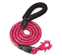 GEIT Correa de Nailon Reflectante para Perros con Cierre rápido de Aluminio, para Perros pequeños, medianos y Grandes, Color Rojo, 1,27 cm