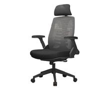 GEK208130 Sillas Escritorio Silla ergonómica con Soporte Lumbar, Silla de Oficina, cómoda Silla giratoria for Ordenador, Asiento de Escritura for Estudio en casa Silla de Oficina(Negro)
