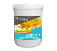 GEL ÁRTICO (1 KG) LU0081
