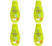 Gel de Ducha Melón Pack 4 x 600 ml - The Fruit Company | Aroma Frutal Tropical, Fresco y Dulce, Uso Diario, Testado Dermatológicamente