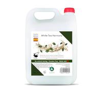 Gel de ducha y champú 2 en 1 White Tea Harmony 5 L • Fórmula equilibrada con aroma a té blanco • Uso diario para cuerpo y cabello • Recarga profesional para dispensadores recargables - Vitacab