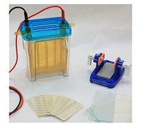 Gel de electrodos, Instrumento de electroforesis vertical doble tipo DYCZ-24EN Electroforesis en gel de proteína de tamaño mediano y electroforesis bidimensional en la segunda dimensión