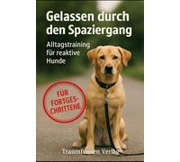 Gelassen durch den Spaziergang: Alltagstraining für reaktive Hunde