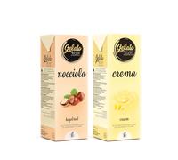 Gelato 4ever - Preparado para helado listo para mantecar, Double Pack, fácil de preparar, compatible con todas las máquinas para helados como Ninja Creami, Magimix, HKoenig, 1 litro para brick