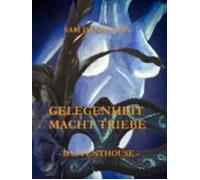 Gelegenheit Macht Triebe - Das Penthouse (ebook)