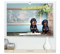 Geliebte Dackel (hochwertiger Premium Wandkalender 2026 DIN A2 quer), Kunstdruck in Hochglanz: eine Liebeserklärung an den Dackel meisterhaft fotografiert von Petra Spoerle-Strohmenger