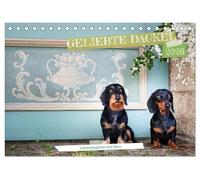 Geliebte Dackel (Tischkalender 2026 DIN A5 quer), CALVENDO Monatskalender: eine Liebeserklärung an den Dackel meisterhaft fotografiert von Petra Spoerle-Strohmenger