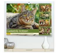 Geliebte Katzen. Unsere zauberhaften Hauskatzen im Garten (hochwertiger Premium Wandkalender 2026 DIN A2 quer), Kunstdruck in Hochglanz: Die charmante ... - frei und ganz in ihrem grünen Element