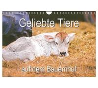 Geliebte Tiere auf dem Bauernhof (Wandkalender 2026 DIN A4 quer), CALVENDO Monatskalender: Glückliche Tiere machen Kinder und Erwachsene einfach froh