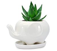 Gelive Maceta con diseño de Elefante Blanco de cerámica, para Plantas carnosas, con platillo