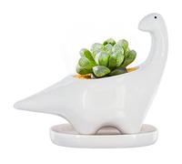 GeLive Maceta de cerámica con diseño de dinosaurio, color blanco, con diseño de animales de dibujos animados