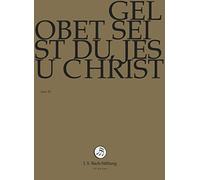 Gelobt seist du, Jesus Christ (J.S. Bach-Stiftung) [DVD]
