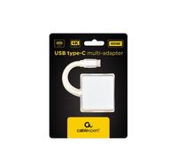 Gembird - A-CM-HDMIF-02-SV Adaptador gráfico USB Plata