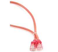 Cable CAT5E UTP moldeado 0,25m Rojo
