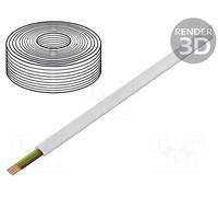 GEMBIRD TC1000S-100M Cable