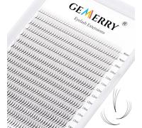 GEMERRY Extensiones de Pestañas 3D Ventilador Pestañas Volumen Ruso 0.10 C curl 8-15mm Mix Pestanas Seda16 hileras 3D Premade Fans Lashes(Big Box 3D-0.10C-mix 8-15mm)