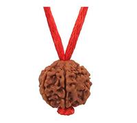 GemsOnClick Natural 4 Face Four Mukhi Nepali Rudraksha Colgante Simple con Hilo Rojo Shiva Devotional Locket Joyería de astrología Original y certificada para Hombres y Mujeres
