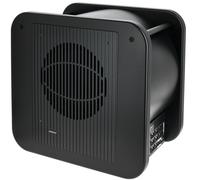 Genelec 7380 AP