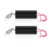 Generador de Alto Voltaje Tyenaza (2 Unidades), Transformador de Alto Voltaje de 3 V a 6 V y 700 kV para experimentos científicos e Instrumentos electrónicos.