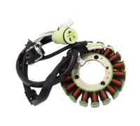 Generador de bobina de estator de motocicleta 4D3-81410-00 Compatible con YFM250 250 Edición especial 2 2008 2009 YFM250R 2008 2009 2013