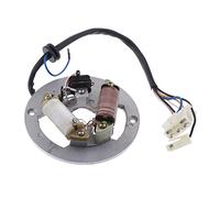Generador De Encendido De Estator Magnético para Motocicleta, Bobinas De 2 Polos para Yamaha PW80 PW 80 Scooter ATV HQGQCEZEK