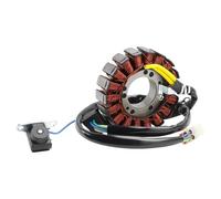 Generador de estator apto for Aeon Cobra Crossland Cube 220 300 320 GOES 300s