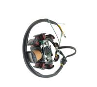 Generador de estator de Bobina de Encendido Magneto de 8 Polos Compatible con Modelos de Motocicleta CB125 WY125 WY150 CB150 WY CB 125 150