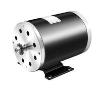 Generador de motor de imán permanente, 36 V, 1000 W, motor eléctrico de 3000 rpm, motor eléctrico permanente DC para karts, motocicletas, bicicletas eléctricas