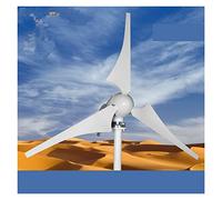 Generador de turbinas de viento 60 0w 800w 1000w New Energy Horizontal Wind Turbine Generator 12V 24V 3/5 Blades Windmill Free Mppt Controlador(Turbine Only,24V,6)