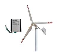Generador de turbinas eólicas 2kW 24V 48V Generador de turbina de viento Axis horizontal a turbina de viento Mppt Controlador fuera del inversor de la cuadrícula Energía alternativa con alta eficienci