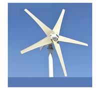 Generador de turbinas eólicas Wind Turbine Generator Windwill 60 0W 800W 12V 24V Con 3 cuchillas 5 cuchillas Mppt pwm Controlador for Homeuse con alta eficiencia(1,12V_800W 5 BLADES)