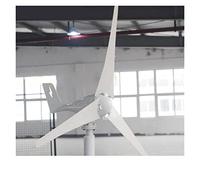 Generador de turbinas eólicas Wind Turbine Generator Windwill 60 0W 800W 12V 24V Con 3 cuchillas 5 cuchillas Mppt pwm Controlador for Homeuse con alta eficiencia(2,12V_800W 5 BLADES)
