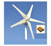 Generador de turbinas eólicas Wind Turbine Generator Windwill 60 0W 800W 12V 24V Con 3 cuchillas 5 cuchillas Mppt pwm Controlador for Homeuse con alta eficiencia(Silver,12V_800W 5 BLADES)