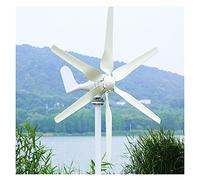 Generador de viento con aprobación CE, 1000 W, eje horizontal, aerogenerador para tierra y marina, incluye controlador de regalo para marina, RV, hogar, molino de viento (con controlador de viento de