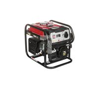 Generador eléctrico 800W DY-1020/PRO