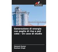 Generazione di energia con paglia di riso e pet coke - Un caso di studio
