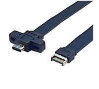 Generchin Placa USB3.2 Gen2x2, Línea Tipo e, Terminal Tipo C, Placa Madre Tipo C Frontal, Cable Plano de 10 G/20 Gbps, 50 cm