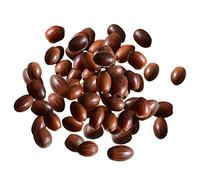 Generic 100 Piezas Bellotas Secas con Tapa Natural Relleno de Florero Artesanía Manualidades Ambientador para Comedor Fotografía Otoño , Bellota Natural-, 1-2,5 CM 1,5-2 CM