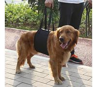 Generic Arnés de Apoyo para Perros Negro Duradero con Asa para Asistencia de Movilidad para Caninos Pequeños a Grandes que Necesitan Apoyo, Poliéster Ajustable con Forro de Algodón Suave, Adecuado (M)