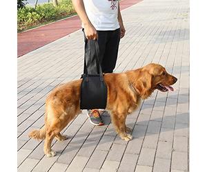 Generic Arnés de Apoyo para Perros Negro Duradero con Asa para Asistencia de Movilidad para Caninos Pequeños a Grandes que Necesitan Apoyo, Poliéster Ajustable con Forro de Algodón Suave, Adecuado (S)