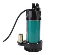 Generic Bomba de Agua Eléctrica, Bomba Sumergible de 300W, Elevación de 22m para Huerto, Pastos, Aguas Residuales Industriales, Acero Inoxidable (DC12V)