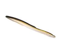 Generic Cebo de Simulación de Pesca de Anguila Suave Grande de PVC, Cebo de Natación Vívido y Realista para una Experiencia de Pesca Agradable, Ideal para Entusiastas de la