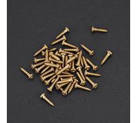 Generic Clavijas de Afinación de Guitarra, Tornillos de Montaje Cromados para Afinadores, Elegantes Accesorios de Golpeador para Reparación de Guitarra, 50 Tornillos de 3 Mm para (GOLD)