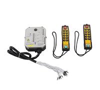 Generic Control Remoto de Grúa Inalámbrica Industrial para Equipos de Minería de Carbón, Indicador LED Control Remoto de Polipasto Eléctrico Impermeable, Protecciones Múltiples, para Operadores de