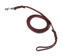 Generic Correa de Entrenamiento para Perros, Cuerda de Seguridad Trenzada Duradera para Caminar, Correr, Entrenamiento, Cierre de Langosta para Cinturón de, Adecuada para Regalo para Amantes de los