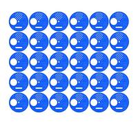 Generic Disco Ventilado de Entrada de Colmena para Proteger a Las Abejas de Las Ratas, Fácil Entrada/Salida para Colmenas, 30 Piezas para Suministros de Apicultor (Blue)