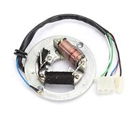 Generic Estator Magneto de Encendido de 2 Bobinas, Magneto Stator Bobina Ignición Magnator Estator Placa Instalación Fácil Cobre de Acero Inoxidable para Motocicleta PW80